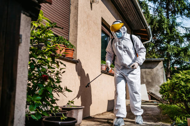 Best Affordable Pest Control Services  in Raoul, GA