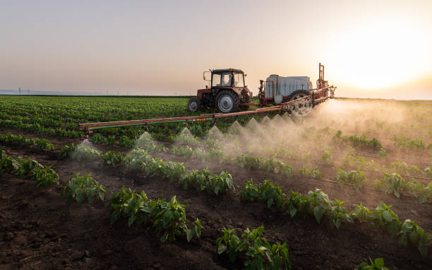 Best Pest Control Treatment  in Raoul, GA
