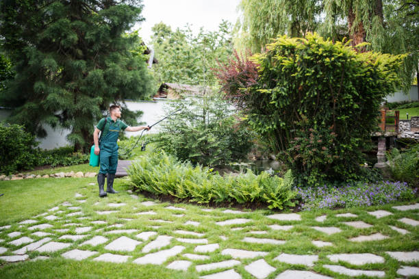Best Affordable Pest Control Services  in Raoul, GA