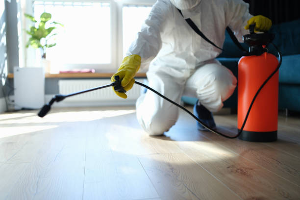 Flea Control Services in Raoul, GA
