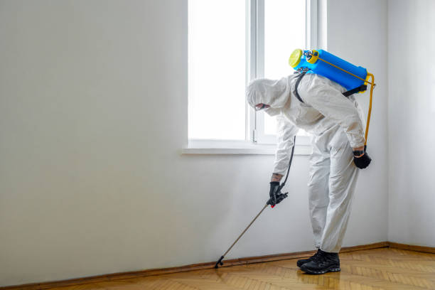 Best Pest Removal Services  in Raoul, GA