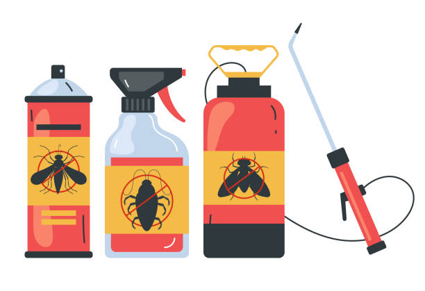 Best Local Pest Control Services  in Raoul, GA
