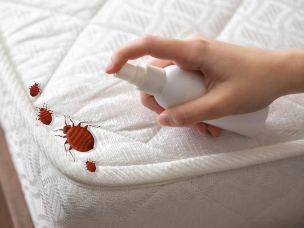 Best Best Pest Control Companies  in Raoul, GA