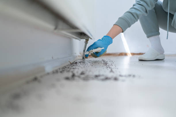 Best Residential Pest Control  in Raoul, GA